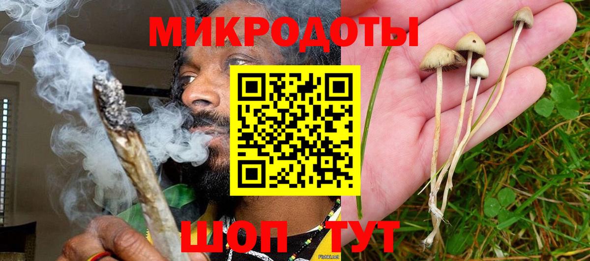 Псилоцибиновые грибы прущие грибы  Вход с VPN  Славянск-на-Кубани 